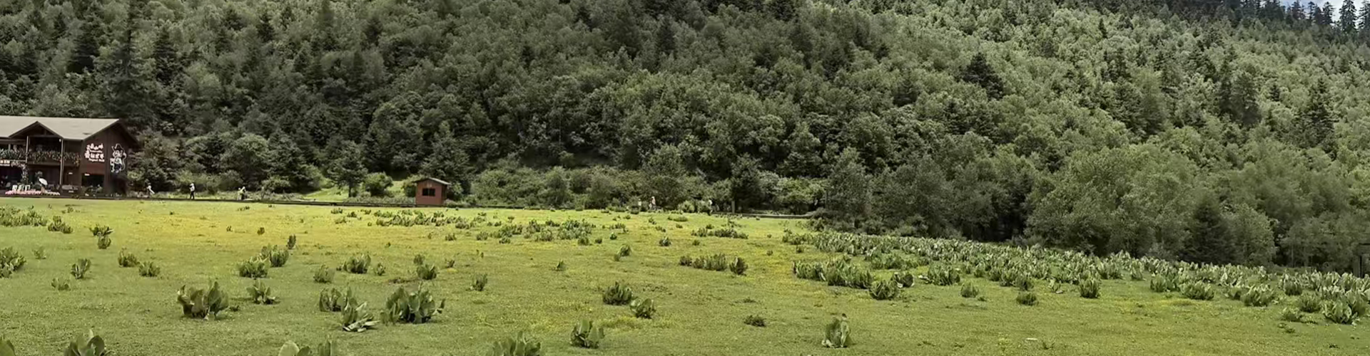 /uploadfile/新闻中心